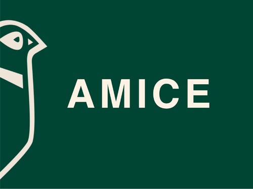 Slovo AMICE sa používalo na označenie osoby. Čo znamenalo? 