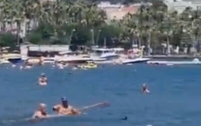 VIDEO: Muži v Turecku zbili žraloka mopom na umývanie, blížil sa k pláži plnej detí.