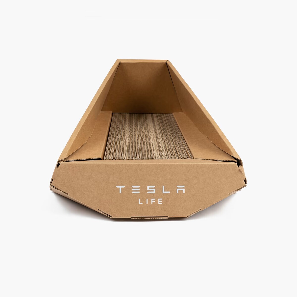 Tesla, elon musk, dizajn