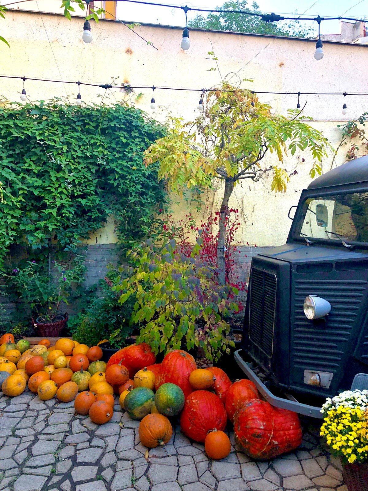 Halloween vibes ve vršovickém Botanica Coffee Trucku.