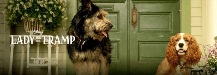 Disney+ odhalilo cenu. Kolik bude stát největší konkurence Netflixu a jaké seriály nabídne?