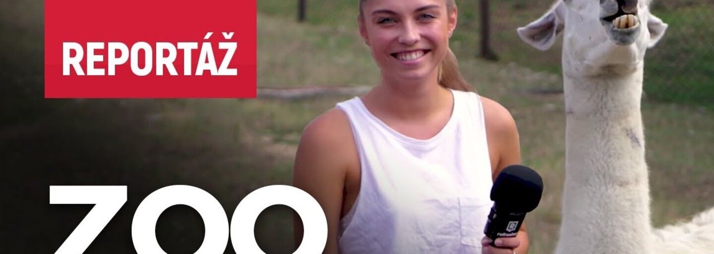 Barbora Bakošová ukázala, ako správne nakŕmiť a postarať sa o zvieratá. V roztomilej reportáži z bratislavskej zoo sa toho kopu dozvieš