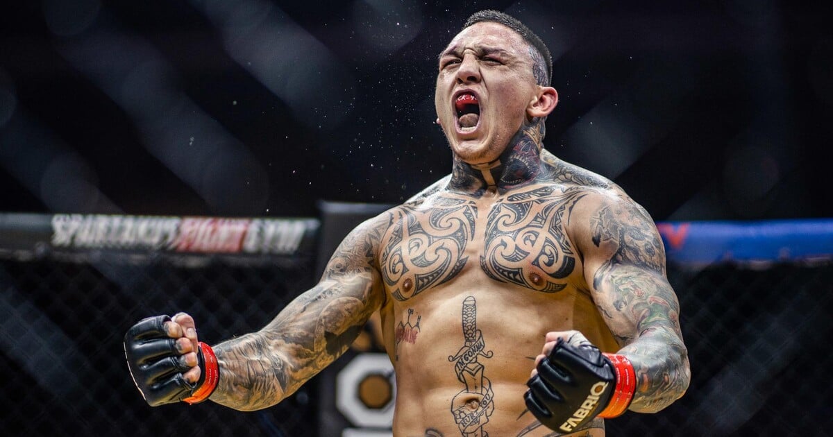 Gábor Boráros rozkopal soupeře a Attila Végh přijal novou výzvu! Jak dopadl turnaj Fabriq MMA?