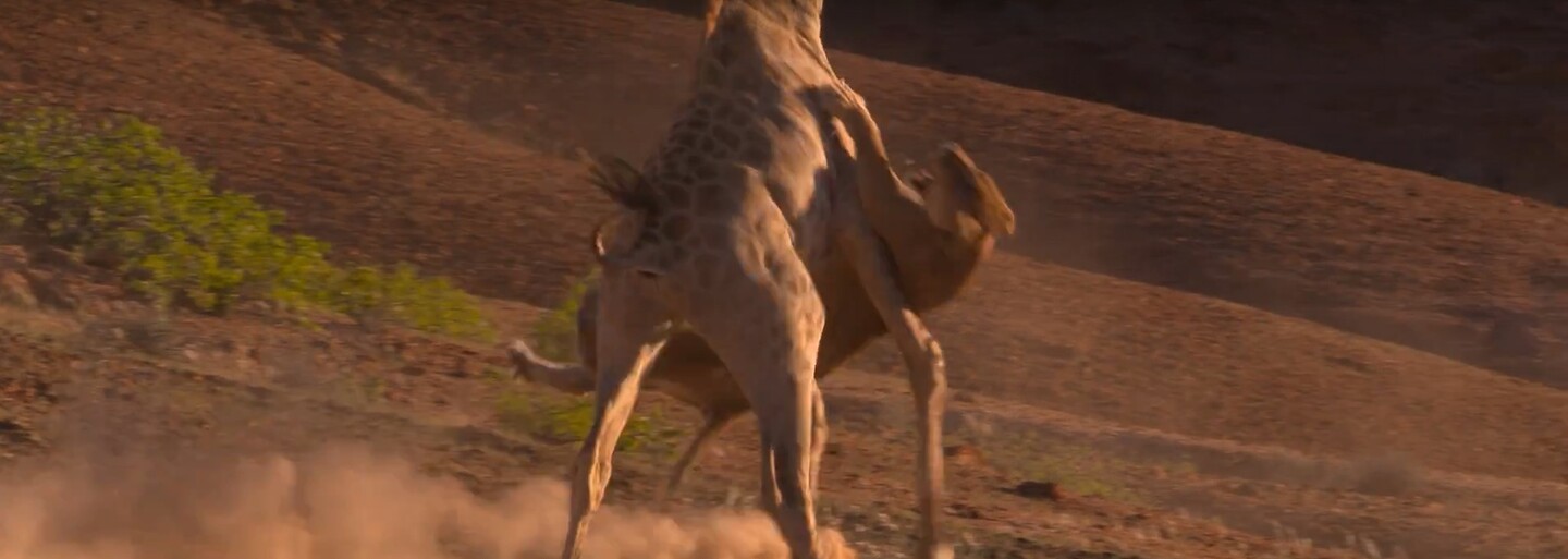 BBC oznamuje príchod dokumentu Planet Earth 2! Legendárna séria ukáže náš svet v pravom svetle