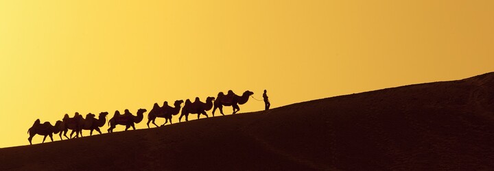 Silk Road – online tržiště, kde seženete vše, od drog až po samopal nebo nájemnou vraždu