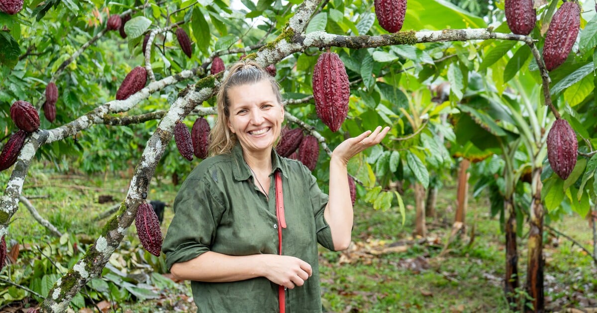 Česká čokoláda dobývá svět. Rodinná firma získala zlatou medaili v prestižní soutěži