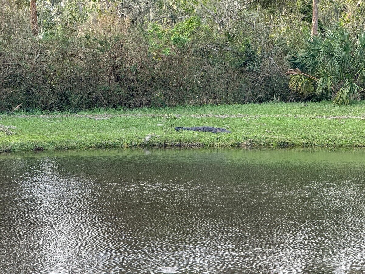 florida, amerika, hurikán
