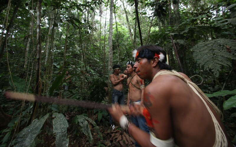 Amazonský prales se v důsledku klimatické krize a těžby mění v savanu.