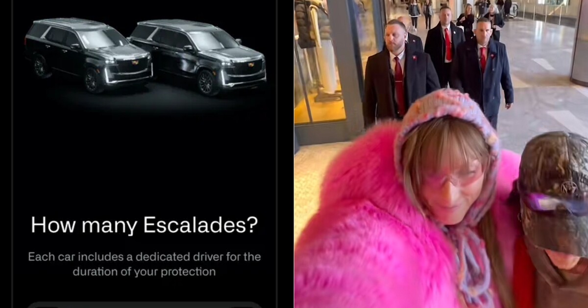 V nové aplikaci si můžeš objednat soukromou ozbrojenou ochranku. Funguje na stejném principu jako Bolt