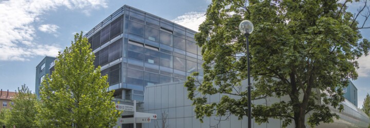 Mendelova univerzita v Brně je v problémech. Přišla o akreditaci pro doktorské studium ekonomických oborů