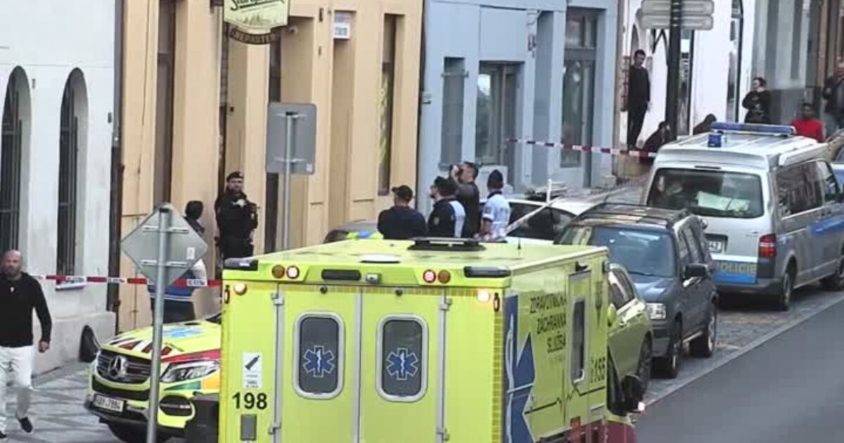 Policie obvinila z vraždy muže, kterého zadržela po útoku nožem na Žižkově. Hrozí mu až 18 let