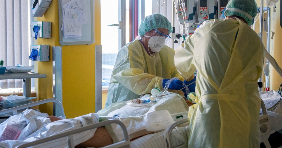 V Česku dál řádí epidemie žloutenky. Zemřely už desítky lidí