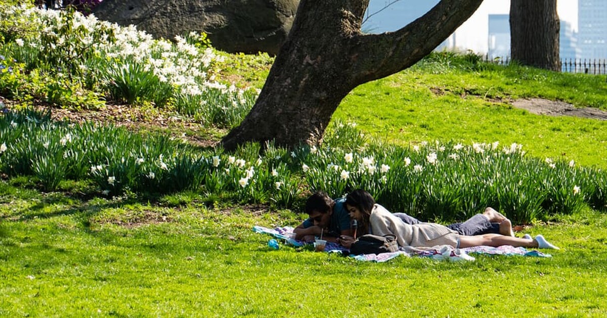 V Německu bude povoleno držet až 25 gramů marihuany, plánuje vláda. Umožní se i pěstování až tří rostlin