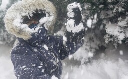 Bestie z Východu přichází: Objeví se krutý mráz a silné sněžení, podle prognózy nejspíše zasáhne i Česko