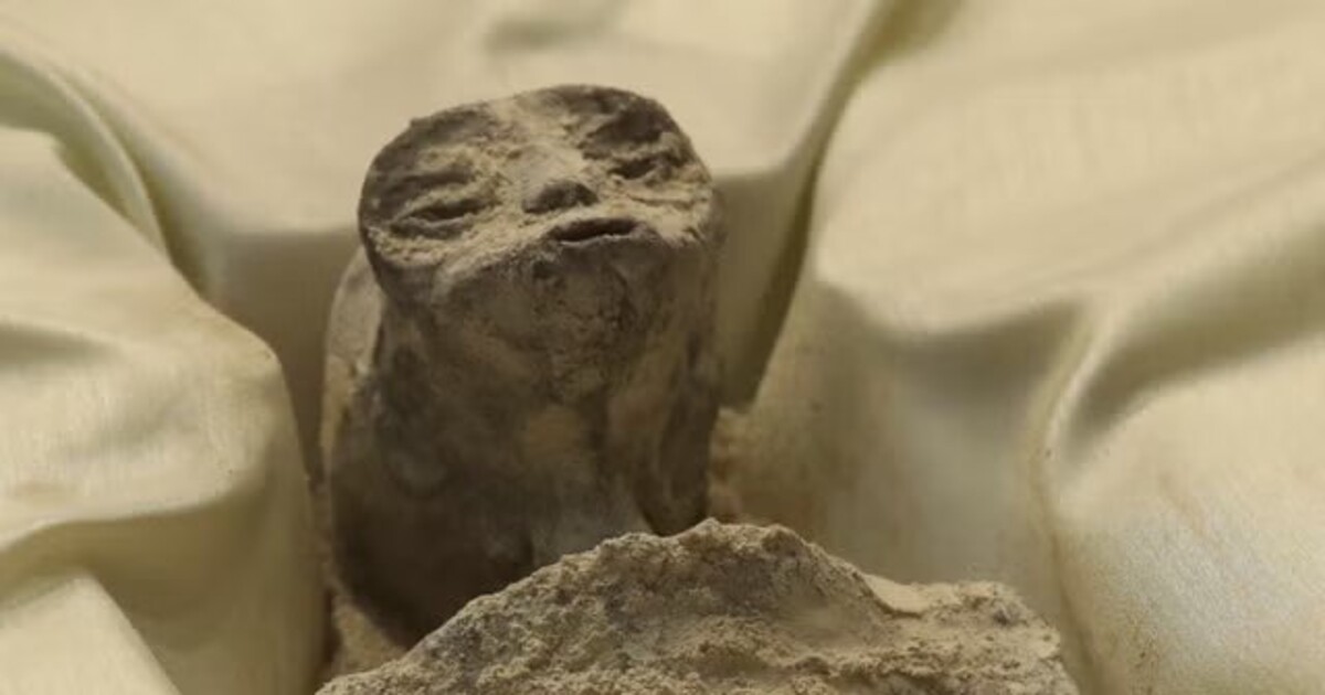 Do mexického parlamentu zavítalo UFO. Údajná mimozemská těla prý obsahují i vajíčka