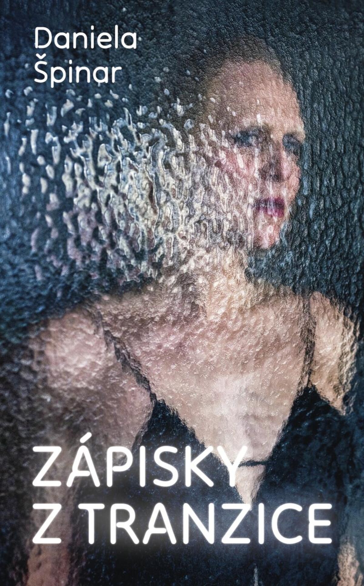 Daniela Špinar, zápisky z tranzice