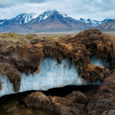 Ako sa nazýva oblasť s trvalo zamrznutou pôdnou vodou?