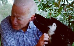 Bidenov pes opäť uhryzol zamestnanca Bieleho domu