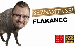 Bitka ve Sněmovně se stala vděčným meme materiálem. Vznikl Tumáš Flákanec nebo parodie útoku na Kapitol