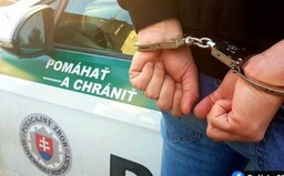 Bratislavčan chcel od ženy sex so zvieraťom. Cez internet jej poslal fotku takéhoto styku, teraz mu hrozia 2 roky väzenia