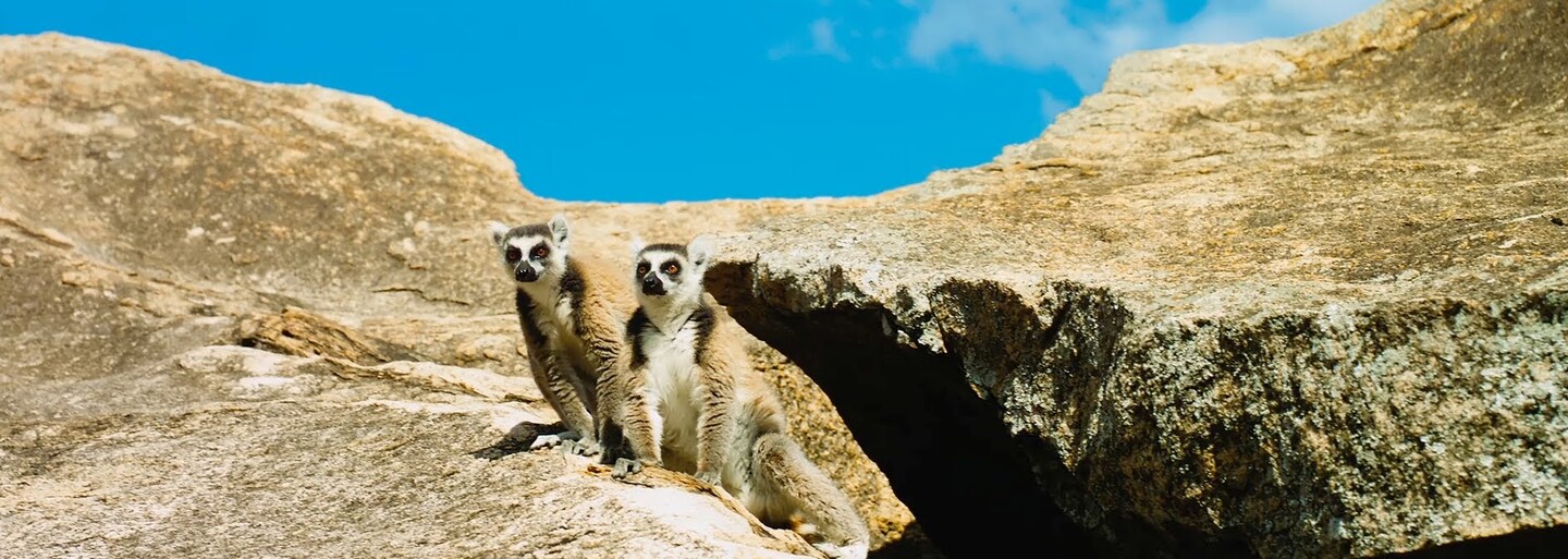 Bratislavský IMAX ťa už od štvrtka vezme do vesmíru, pod hladinu mora a na Madagascar