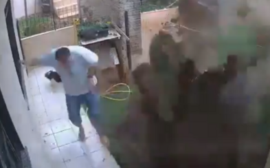 Brazílčan chcel zničiť šváby, vybuchla mu celá záhrada. Incident zaznamenala kamera Brazílčan chcel zničiť šváby, vybuchla mu celá záhrada. Incident zaznamenala kamera