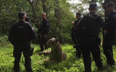 Britské policejní složky zasahovaly vrtulníkem kvůli soše tygra. Domnívali se, že šelma je živá a nebezpečná Britské policejní složky zasahovaly vrtulníkem kvůli soše tygra. Domnívali se, že šelma je živá a nebezpečná