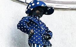 Bruselský Čurající chlapeček byl na počest založení Československa oblečený do tradičního modrotisku