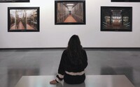 Bruselští psychiatři předepisují pacientům návštěvy muzea, může to pomoct v léčbě úzkostí a depresí