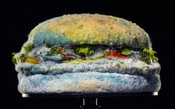 Burger King v nové reklamě ukázal plesnivý Whopper. Poukazuje na to, že jejich hamburgery nejsou umělé