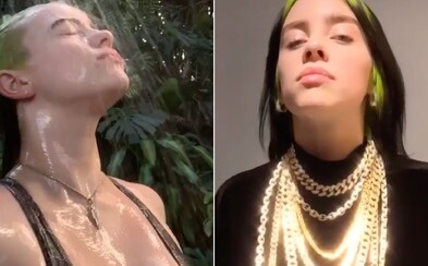 Bývalí fanoušci vulgárně nadávají Billie Eilish, protože se svlékla do plavek. Zpěvačka boj s hatery vzdává Bývalí fanoušci vulgárně nadávají Billie Eilish, protože se svlékla do plavek. Zpěvačka boj s hatery vzdává