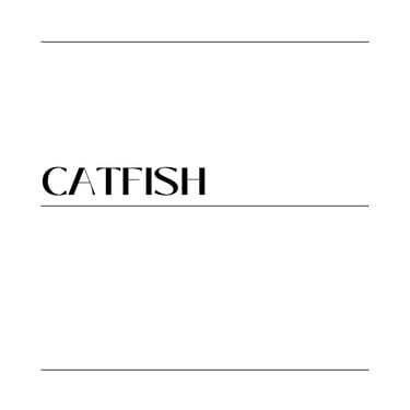 Kdo nebo co je „catfish“?