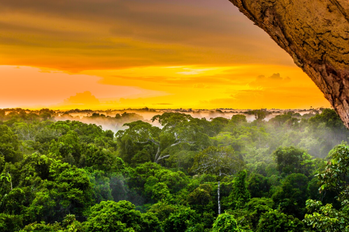 Amazonský dažďový prales.