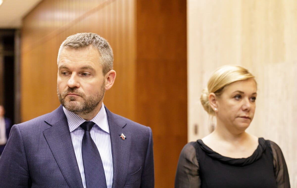 Denisa Saková, Peter Pellegriny