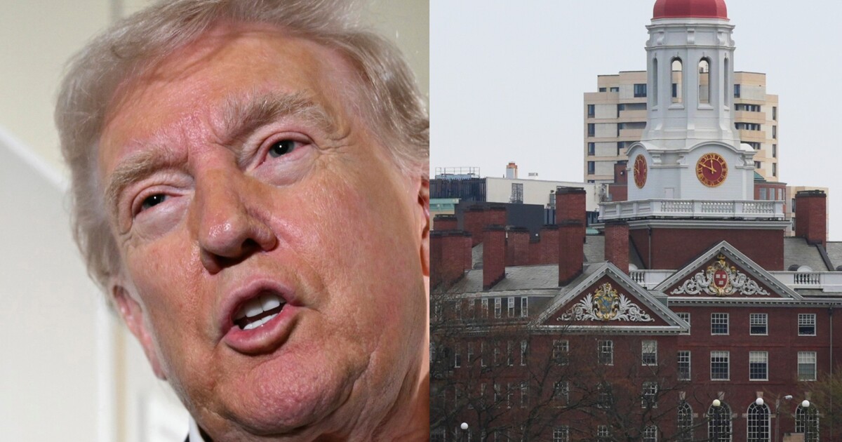 Harvard zažaloval Trumpovu vládu kvůli zmrazení 2,2 miliardy dolarů. Univerzita se brání proti zásahům do nezávislosti