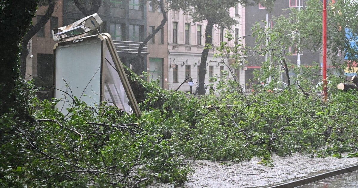 Sever Slovenska zasiahne silná víchrica. Vietor dosiahne rýchlosť až 135 km/h