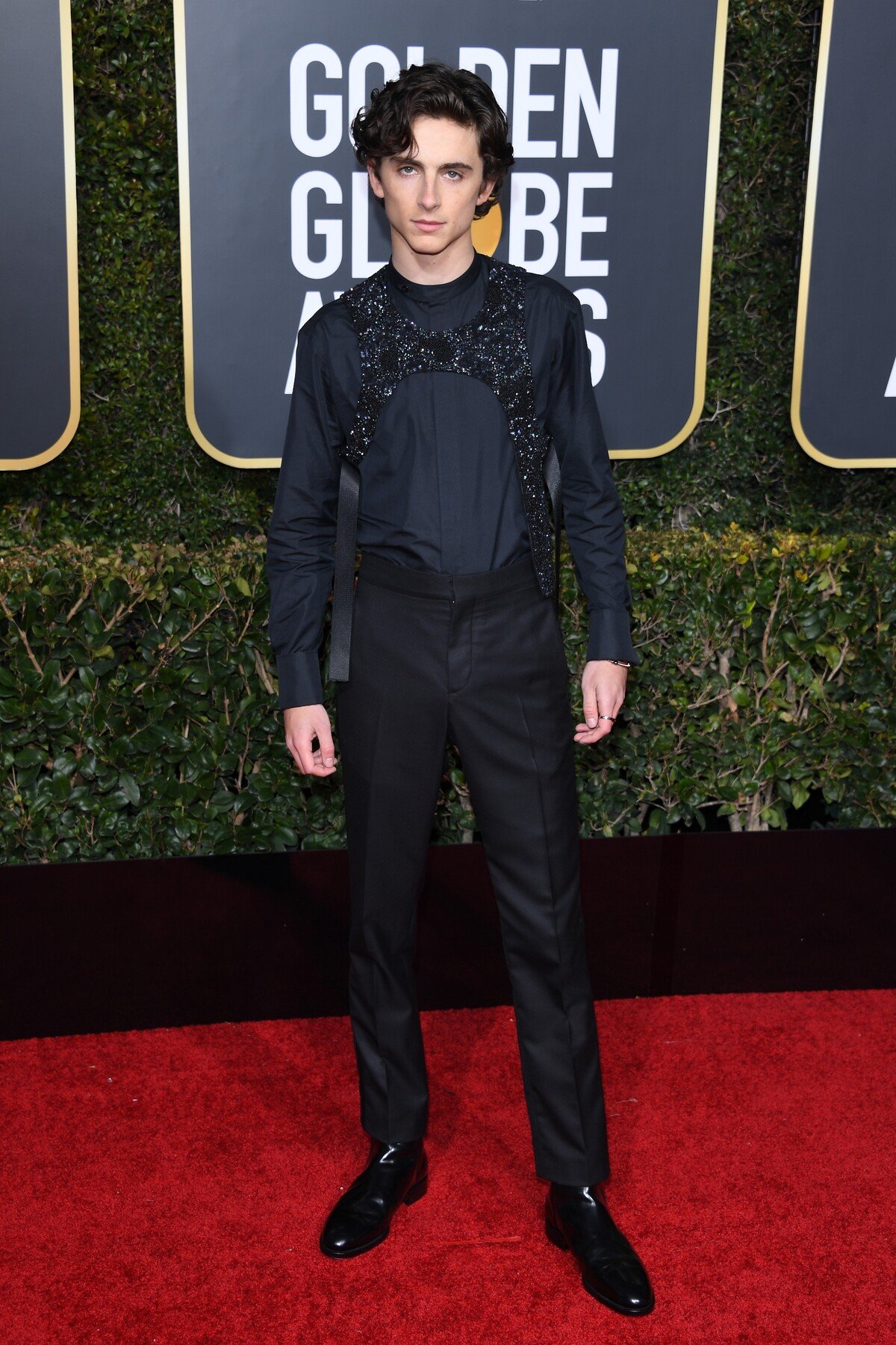 Chalamet na odovzdávaní filmových cien Golden Globe v januári 2019.