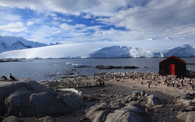 Čtveřice žen bude počítat tučňáky a vést poštu v Antarktidě. „Splnil se mi sen,“ řekla jedna z nich.