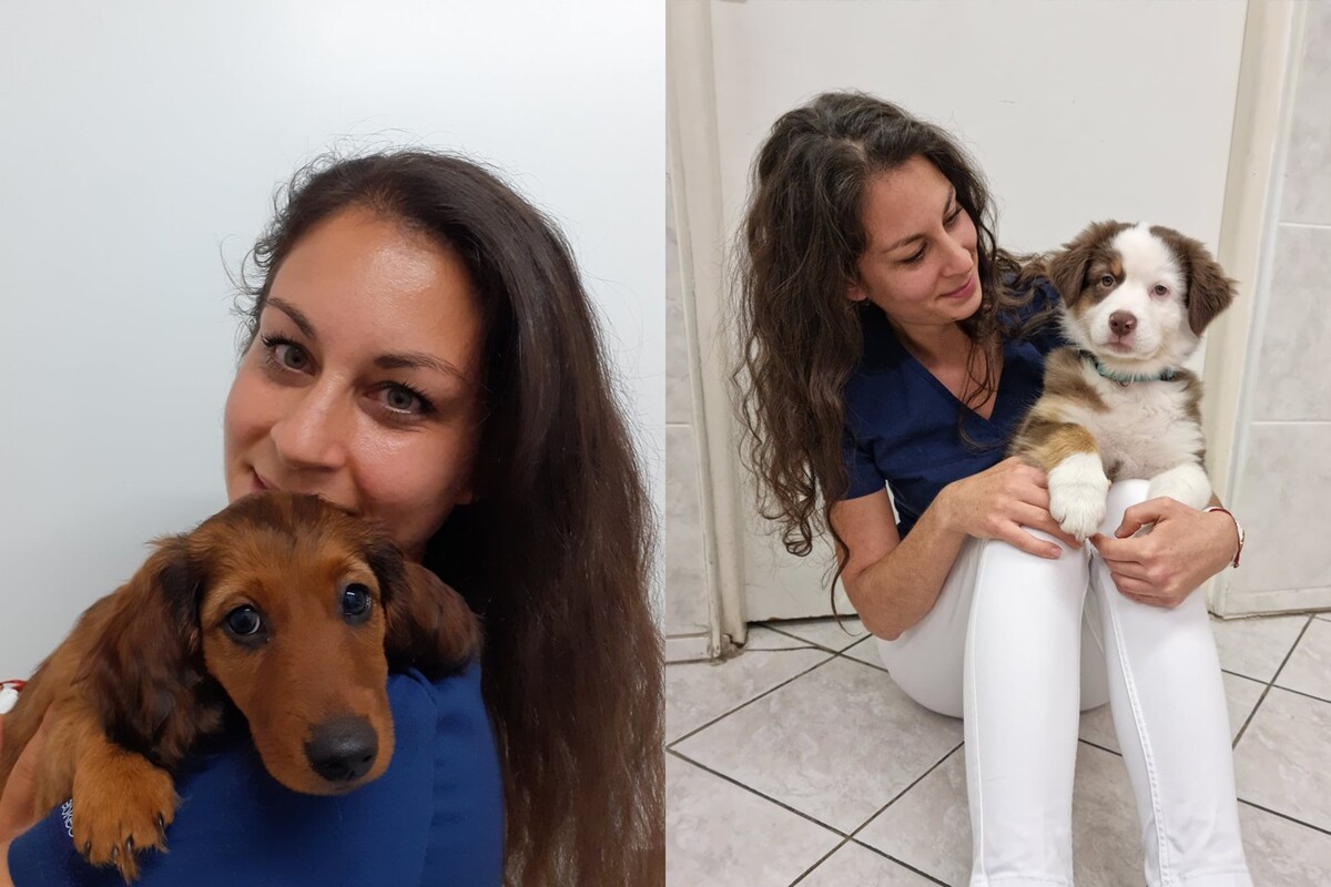 Veterinárka Michaela Kubová pózuje so svojimi psími pacientmi.