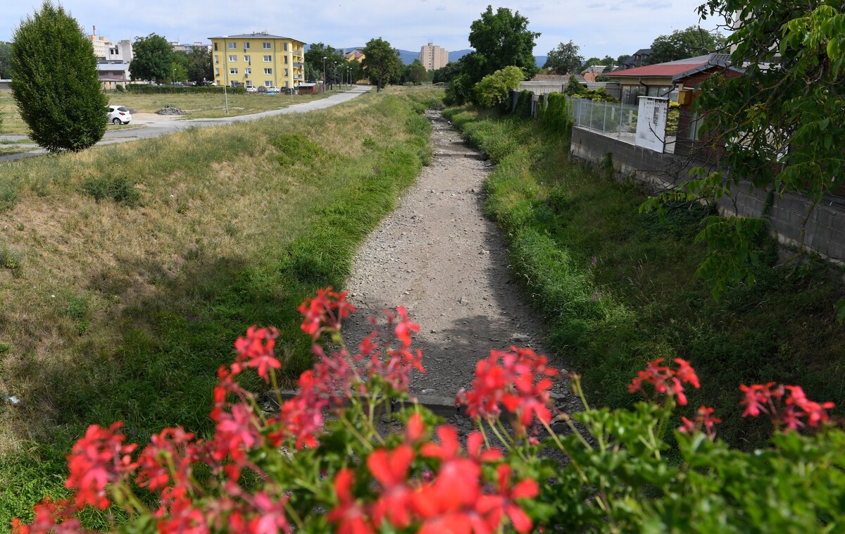 Na snímke vyschnuté koryto rieky Bodva v Moldave nad Bodvou 18. júla 2022.