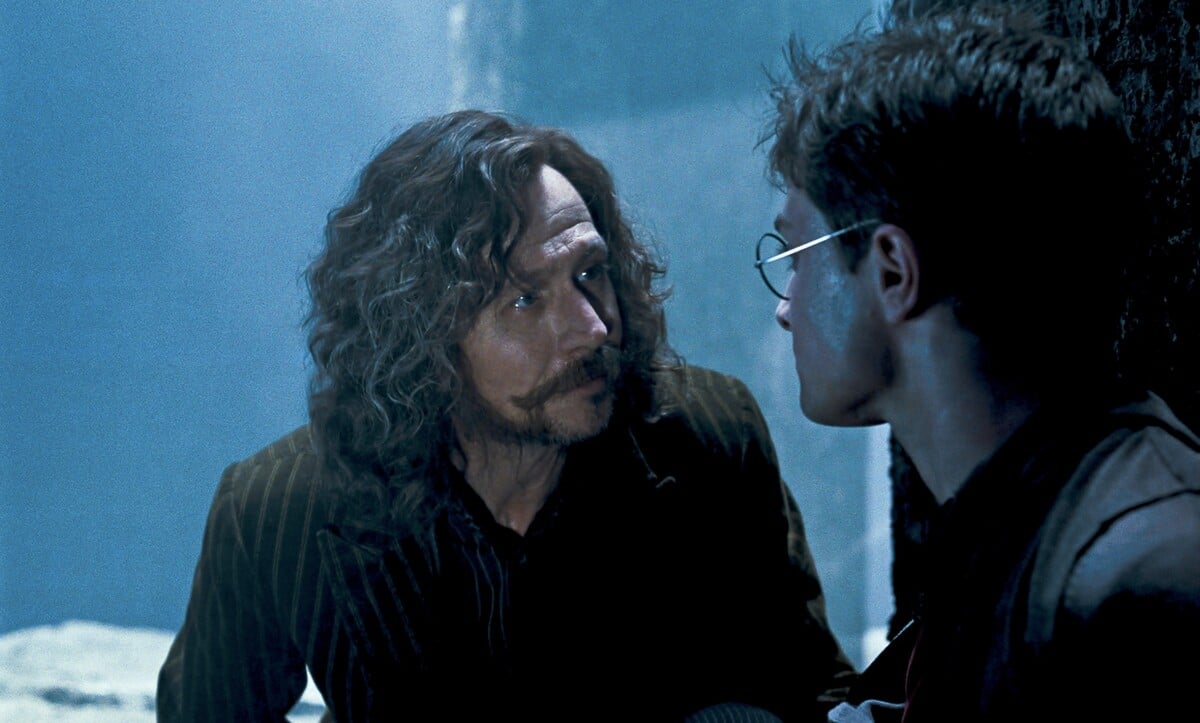 Sirius Black, Harry Potter