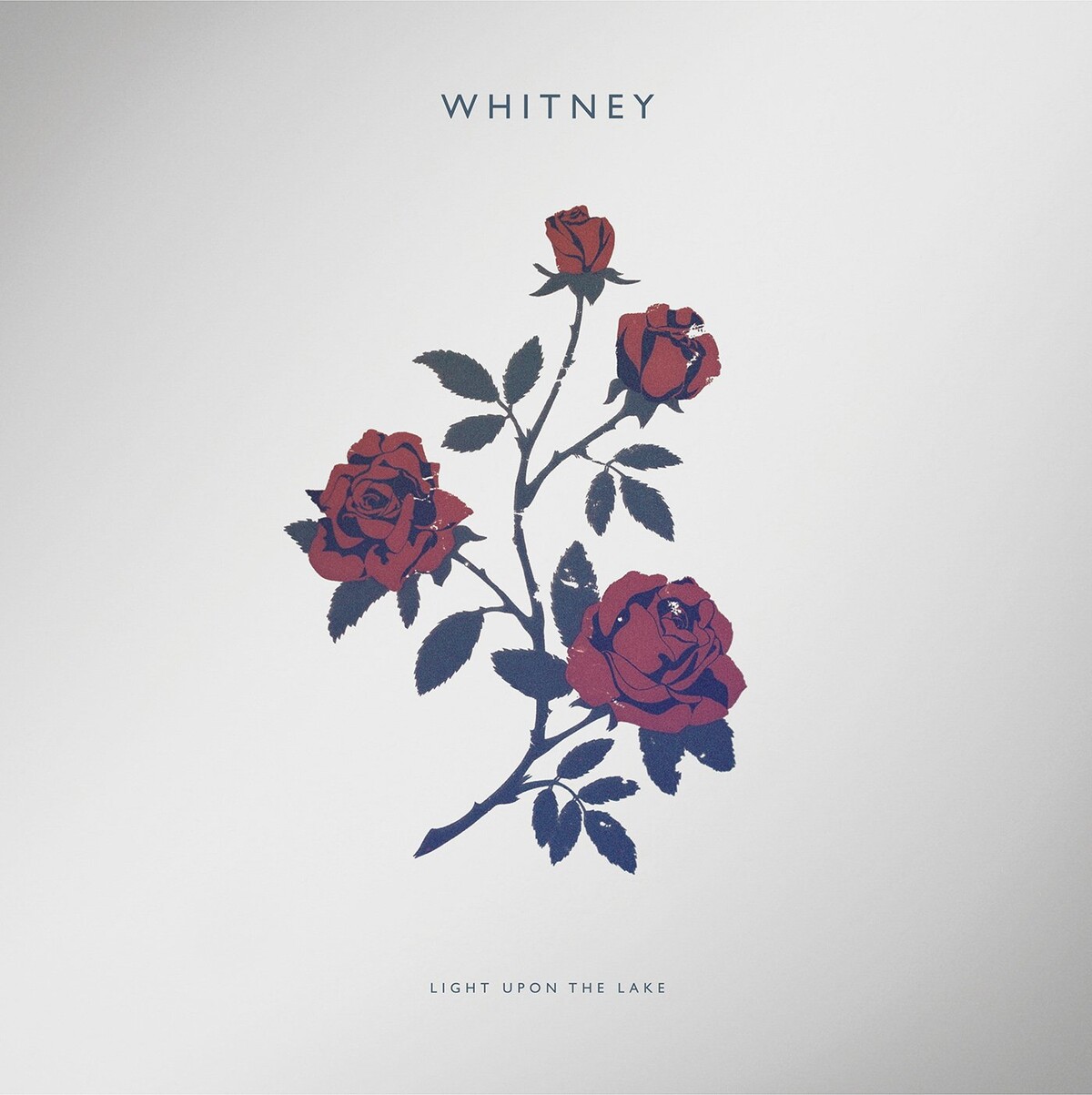 album, růže, whitney