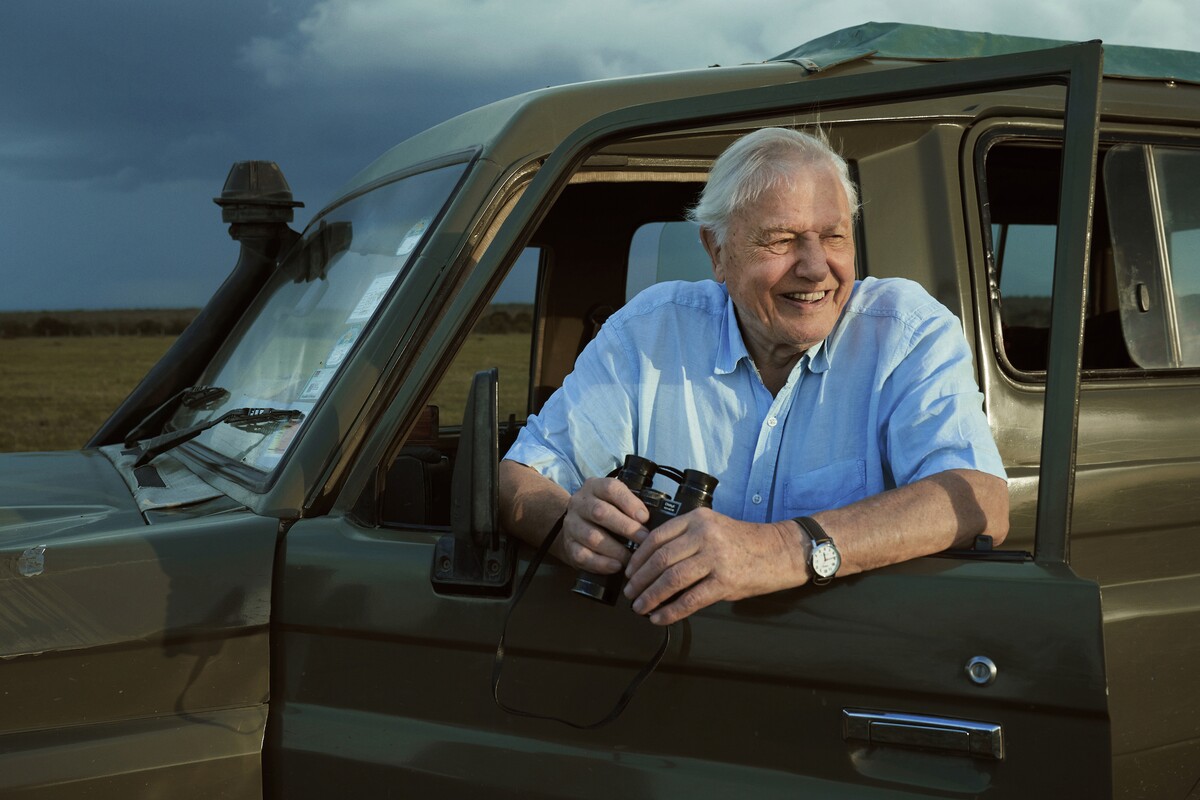 David Attenborough