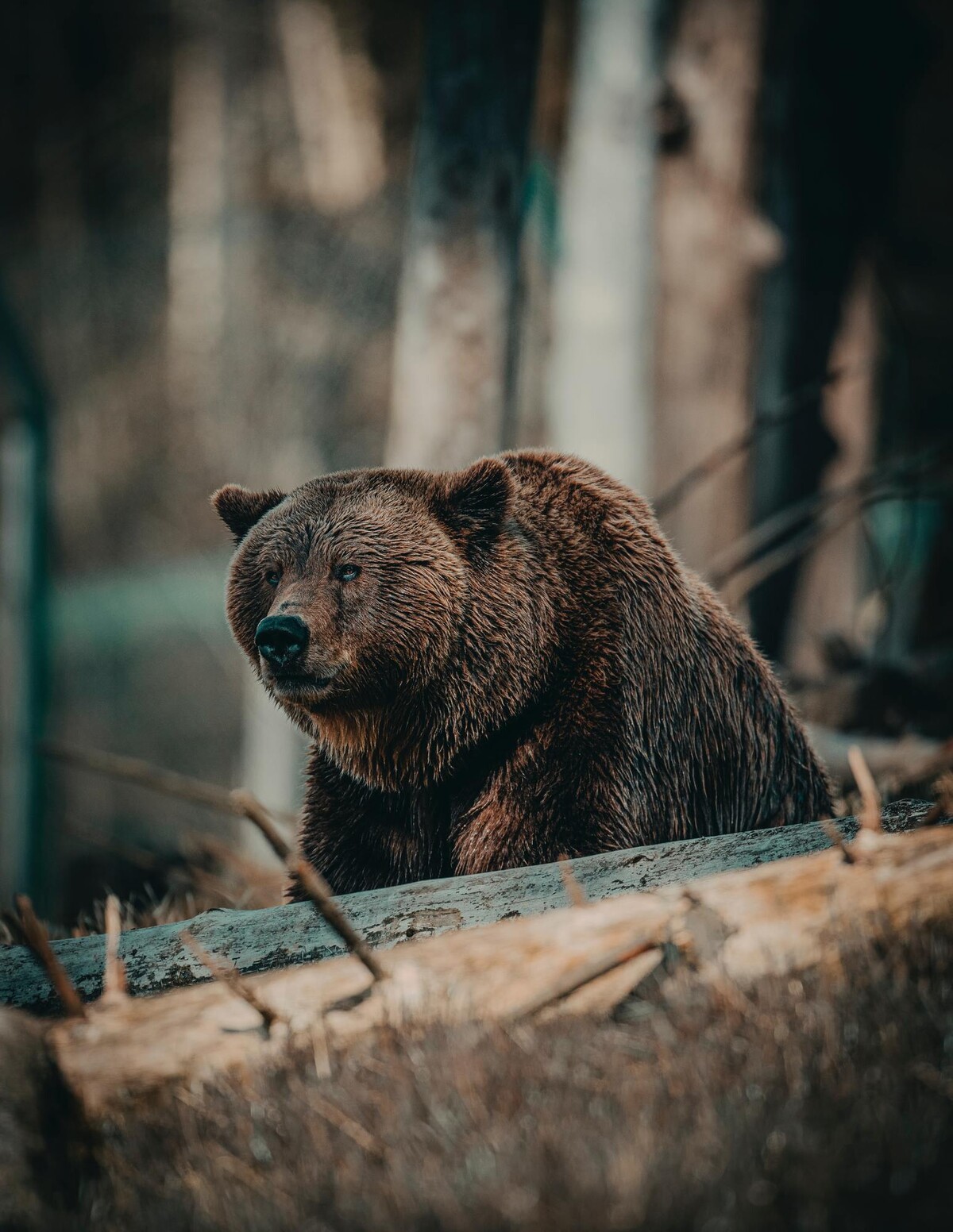 Ilustračná fotografia.