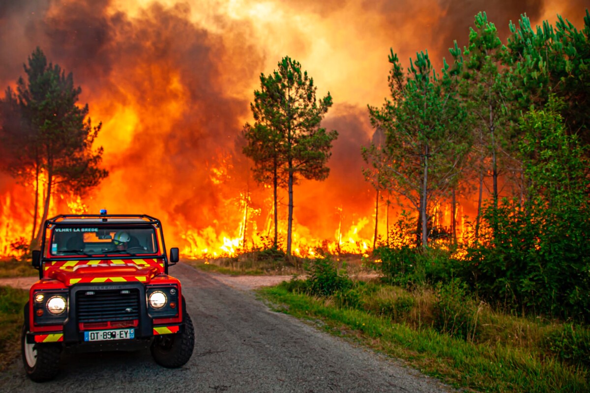 Plamene šíriace sa v lesnom poraste počas lesného požiaru pri obci Landiras na juhozápade Francúzska. Požiare sa šíria vo viacerých európskych krajinách. Hasiči s nimi bojujú v Portugalsku, Španielsku a južnom Francúzsku. (13. júla 2022)