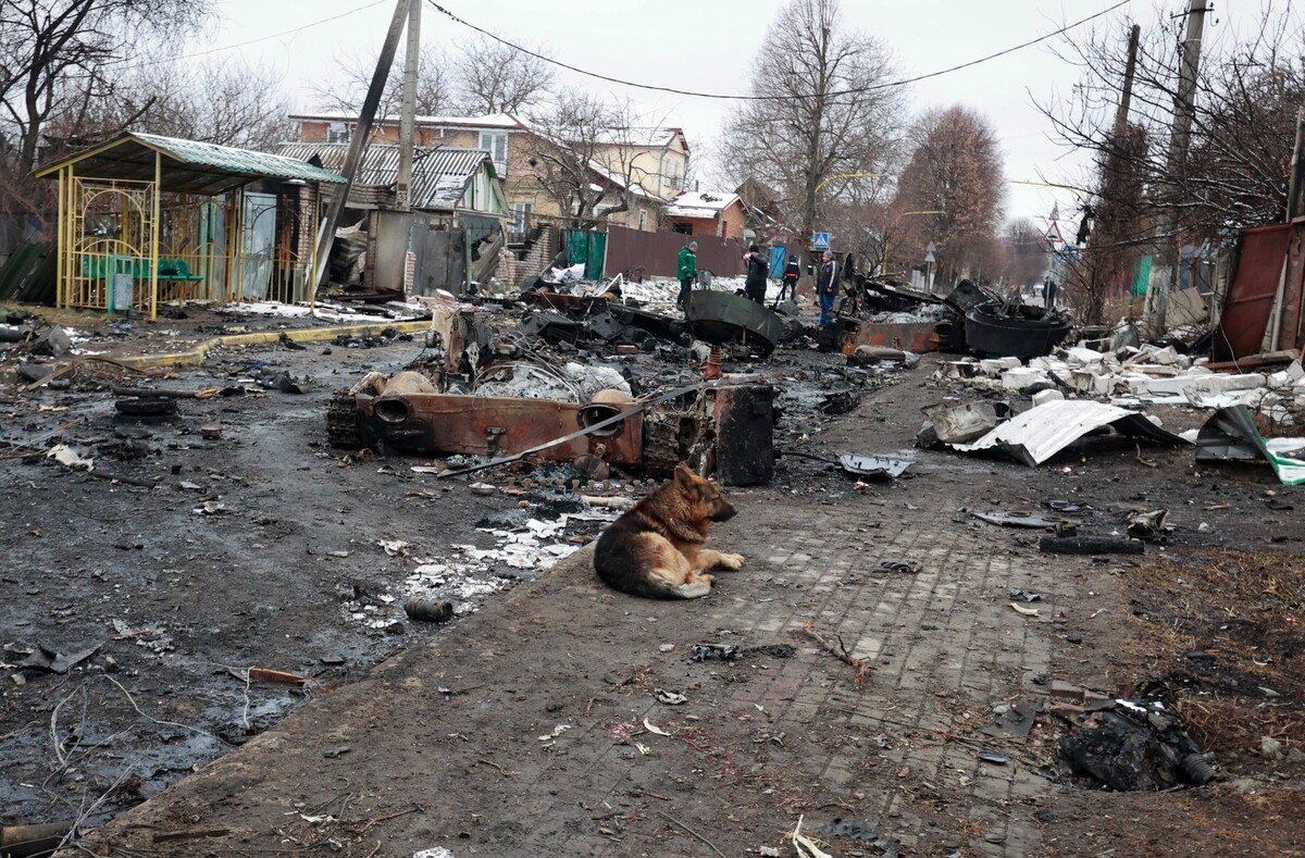 Ukrajina válka Buča