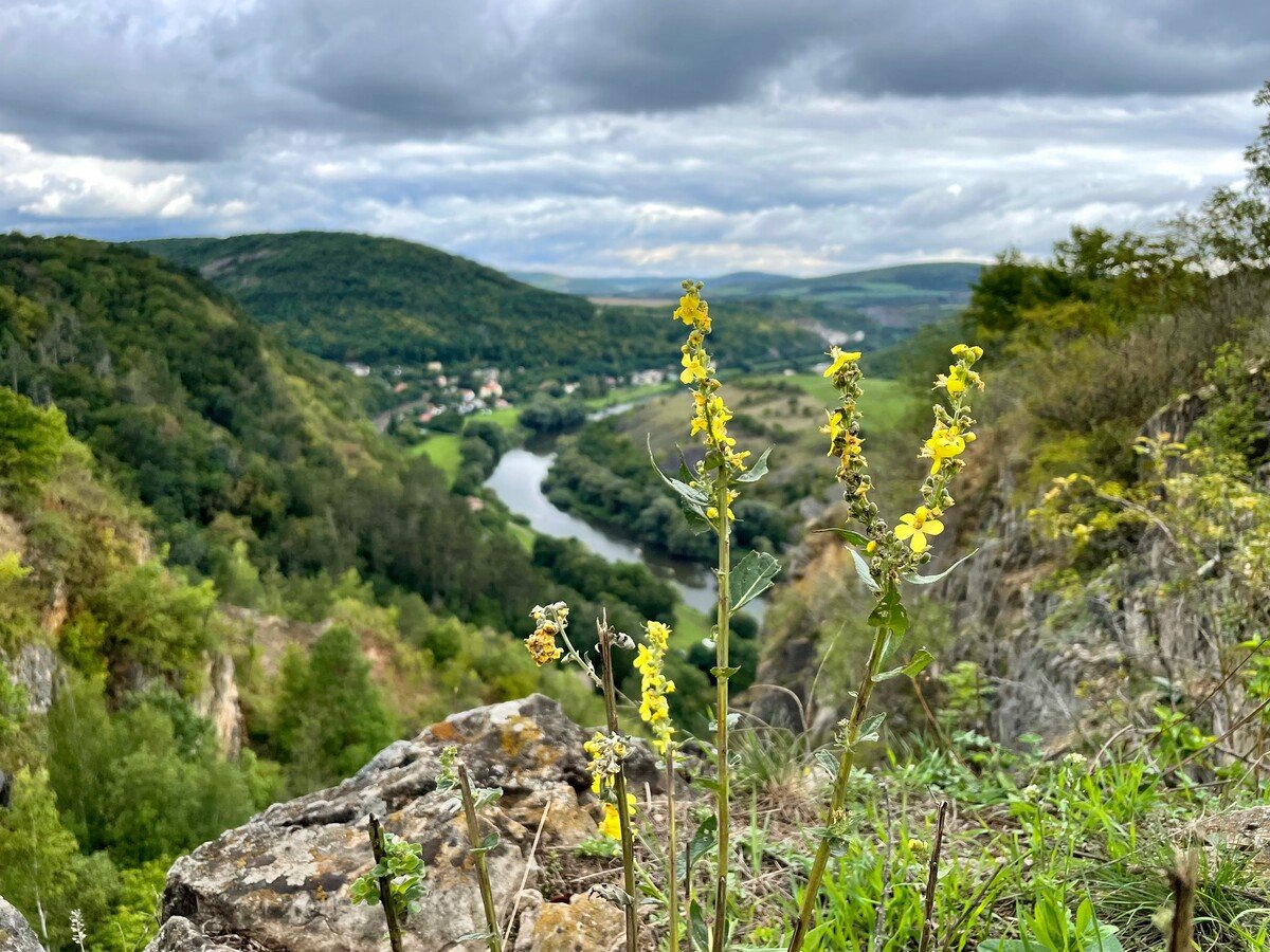 cesky kras krajina