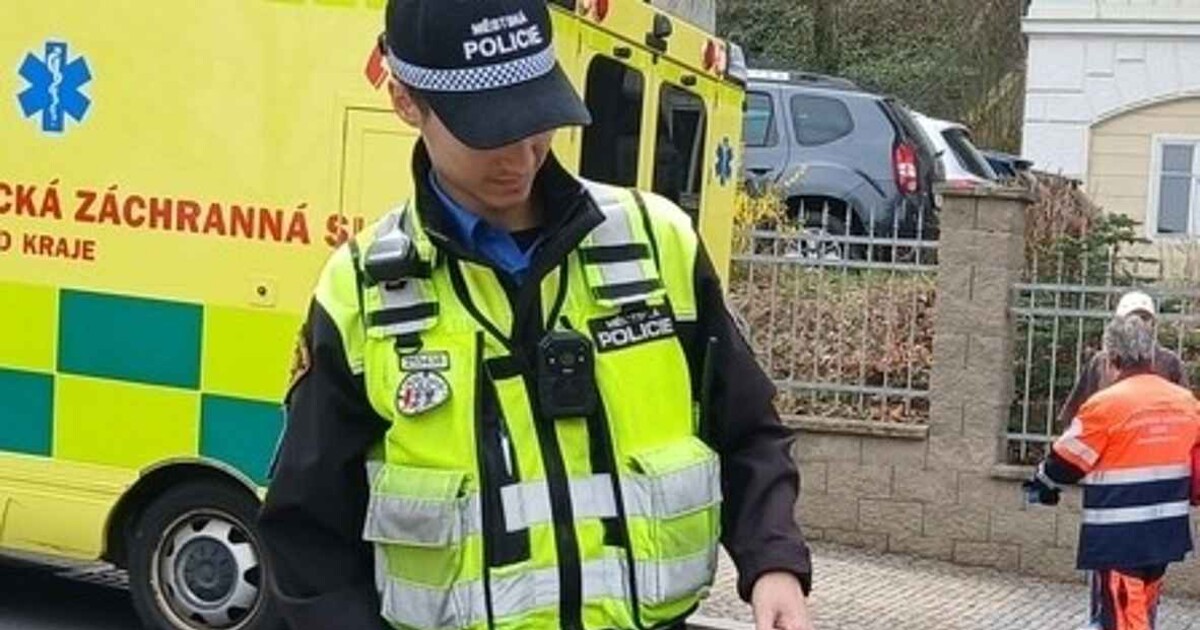 FOTO: Kocour v Karlových Varech napadl vlastní paničku tak, že skončila v nemocnici. Nechtěl do přepravky