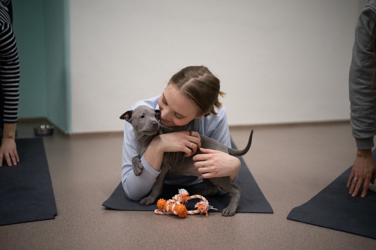 pets yoga prague