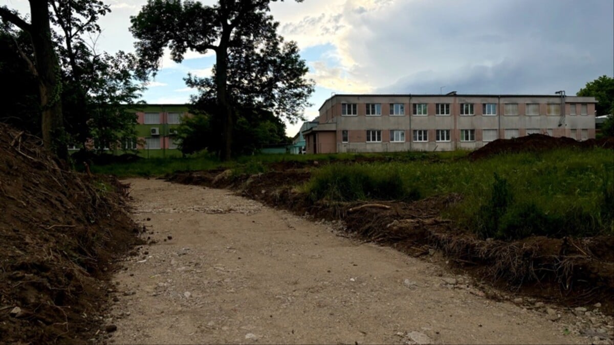 V areáli psychiatrickej nemocnice vo Veľkom Záluží vyrúbali stromy. Práce stoja pretože firma Stanter nevybavila povolenie.